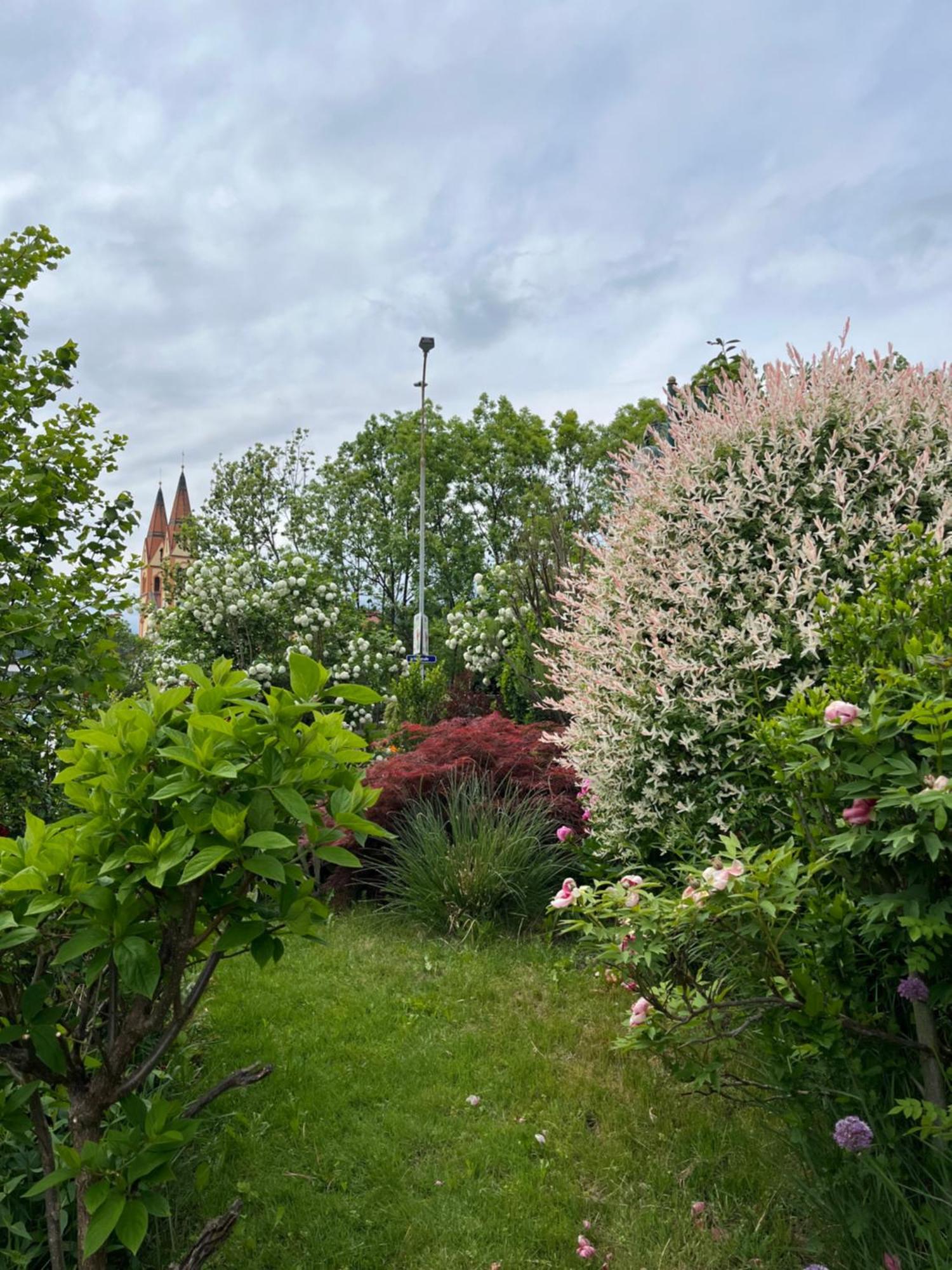 Telfer Stubm Bed & Breakfast Telfs Eksteriør bilde